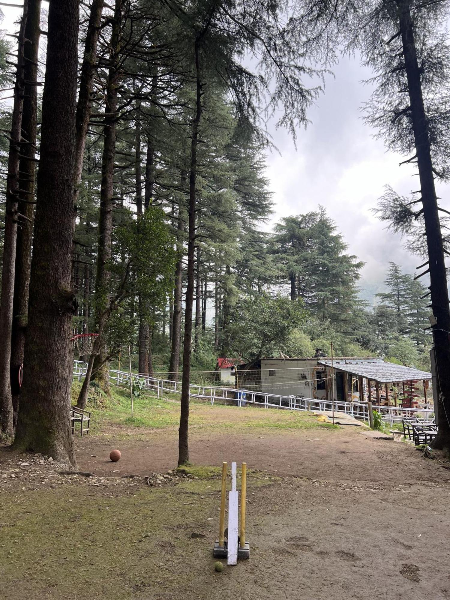 Himtrek Stays,Mcleodganj マクロード・ガンジ エクステリア 写真
