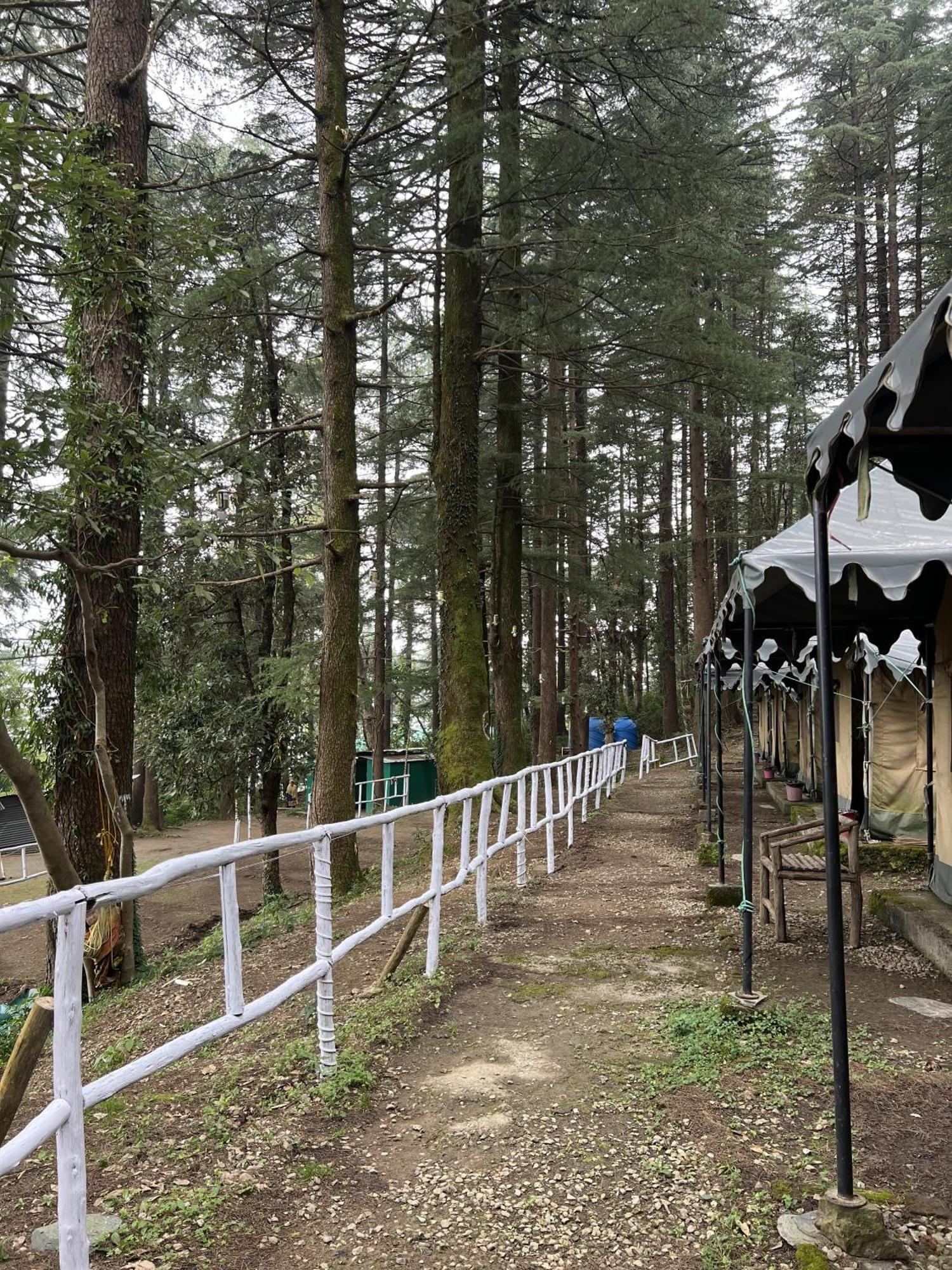Himtrek Stays,Mcleodganj マクロード・ガンジ エクステリア 写真
