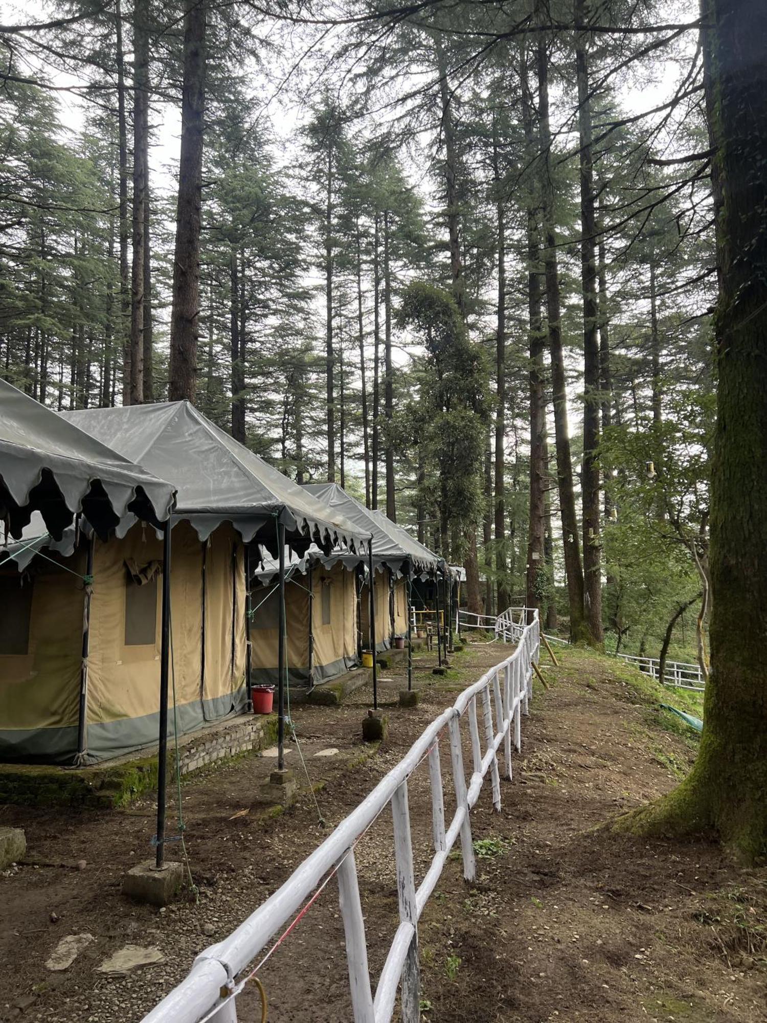 Himtrek Stays,Mcleodganj マクロード・ガンジ エクステリア 写真