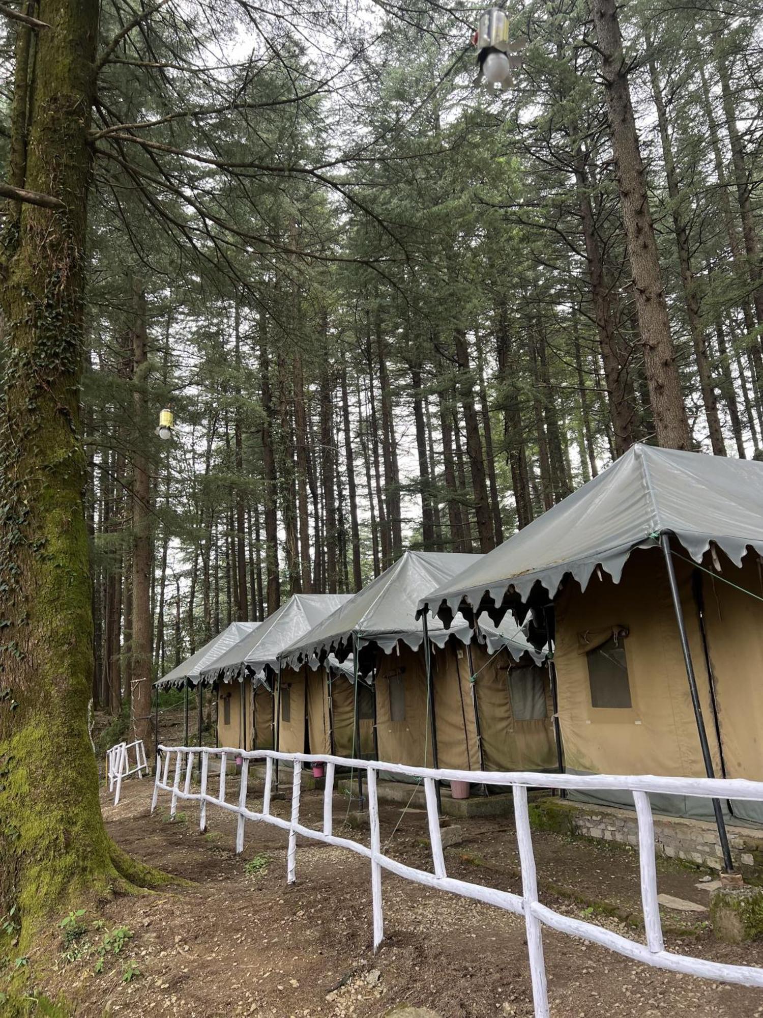 Himtrek Stays,Mcleodganj マクロード・ガンジ エクステリア 写真