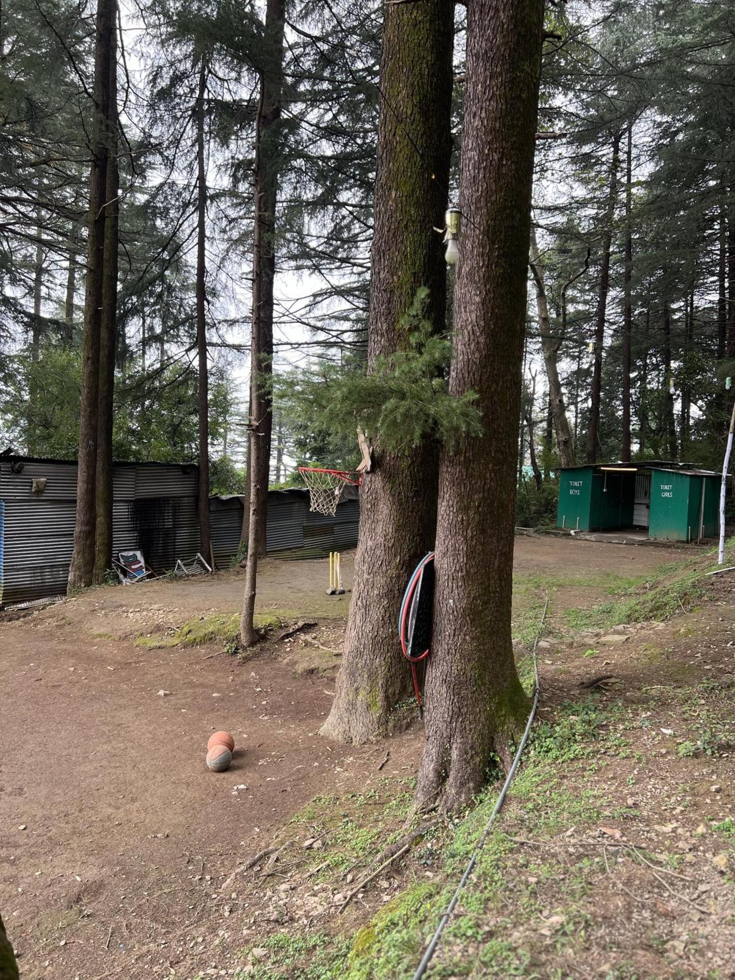 Himtrek Stays,Mcleodganj マクロード・ガンジ エクステリア 写真
