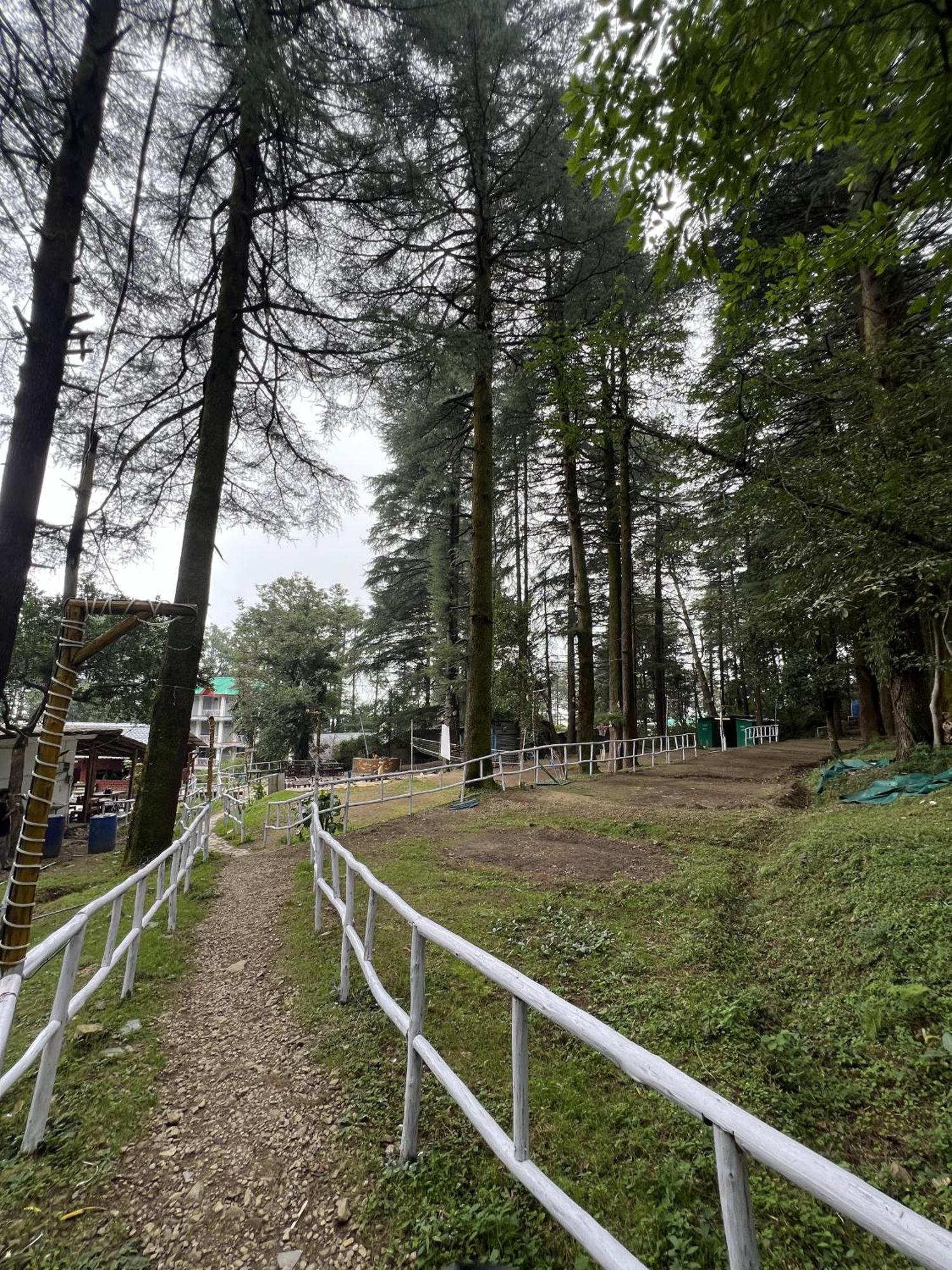 Himtrek Stays,Mcleodganj マクロード・ガンジ エクステリア 写真