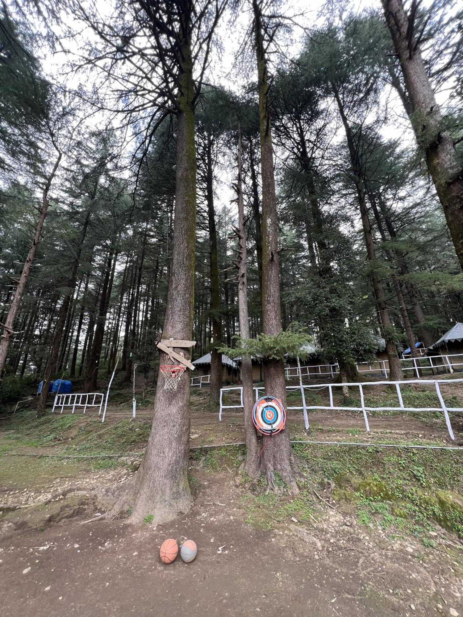 Himtrek Stays,Mcleodganj マクロード・ガンジ エクステリア 写真