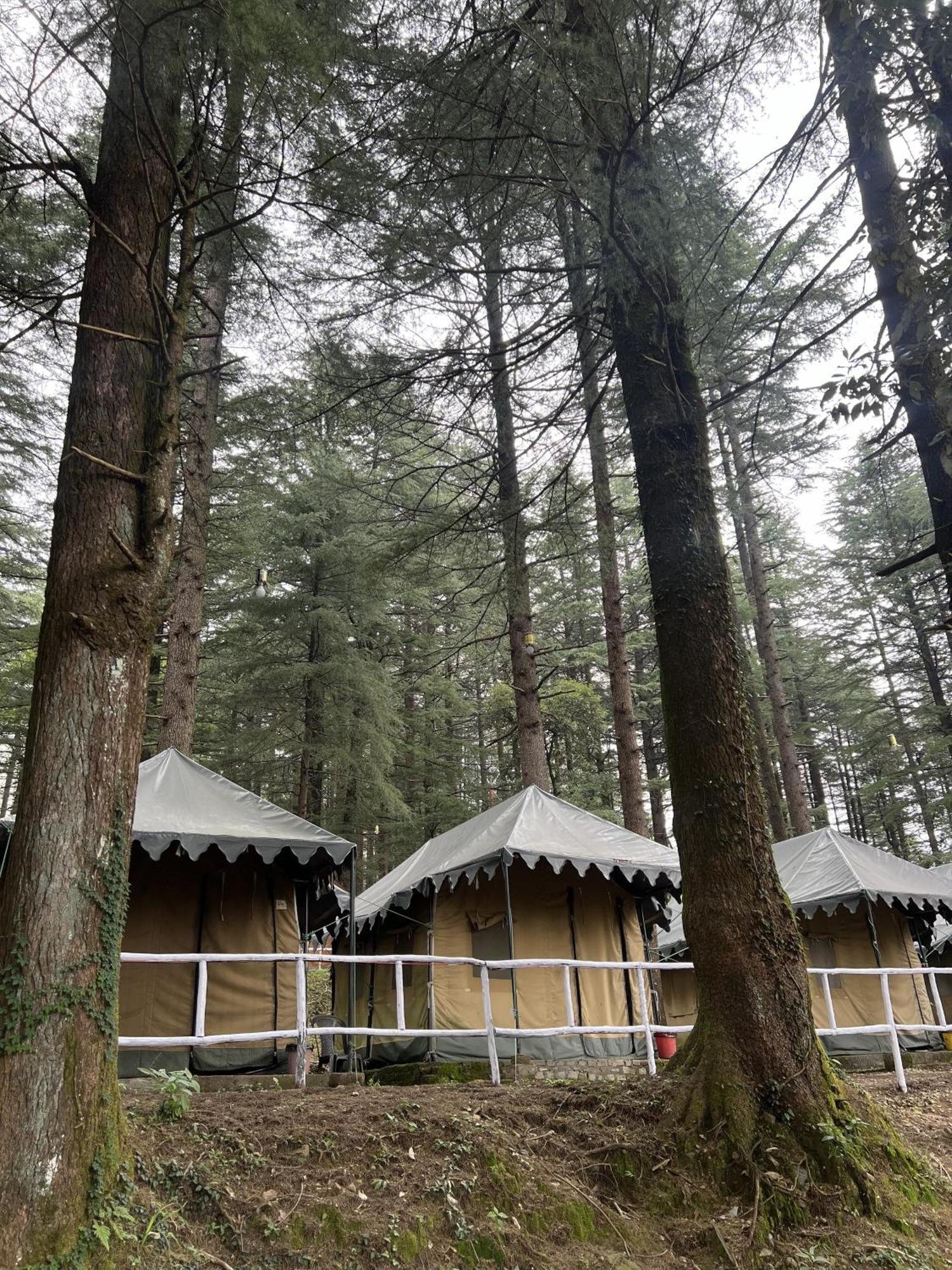 Himtrek Stays,Mcleodganj マクロード・ガンジ エクステリア 写真