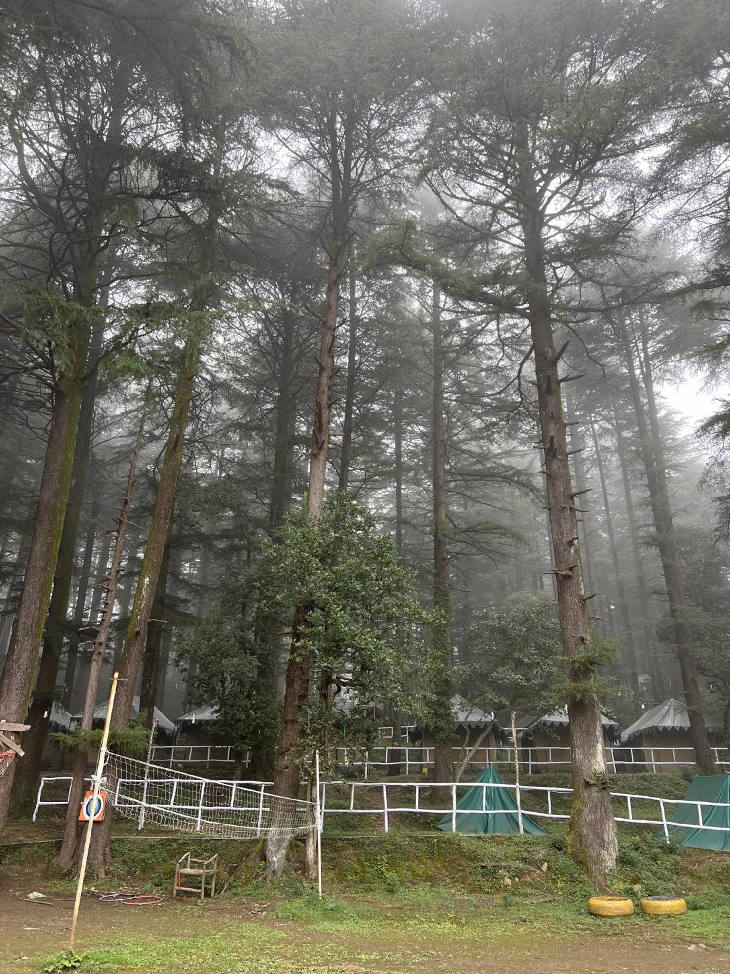 Himtrek Stays,Mcleodganj マクロード・ガンジ エクステリア 写真