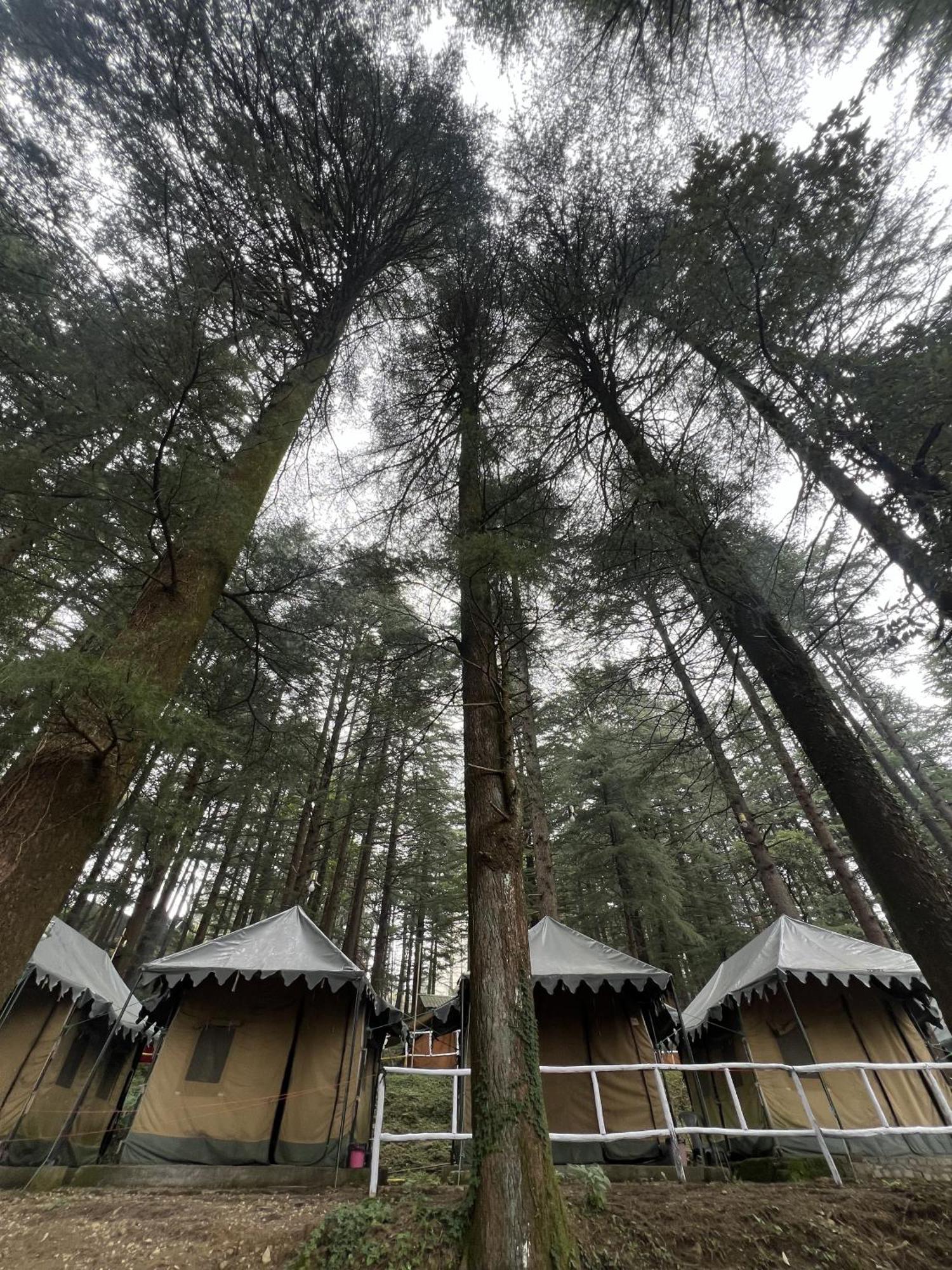 Himtrek Stays,Mcleodganj マクロード・ガンジ エクステリア 写真