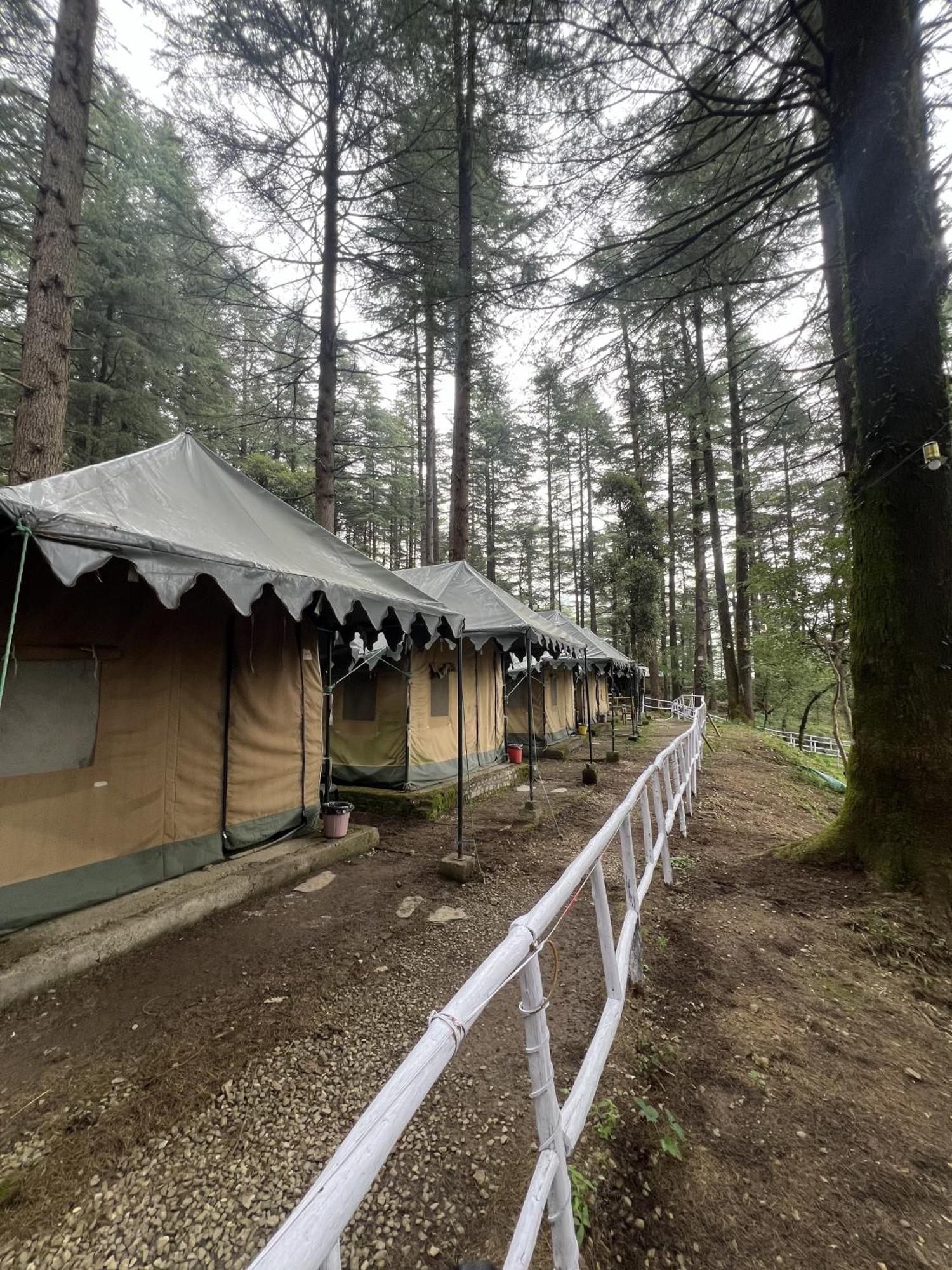 Himtrek Stays,Mcleodganj マクロード・ガンジ エクステリア 写真