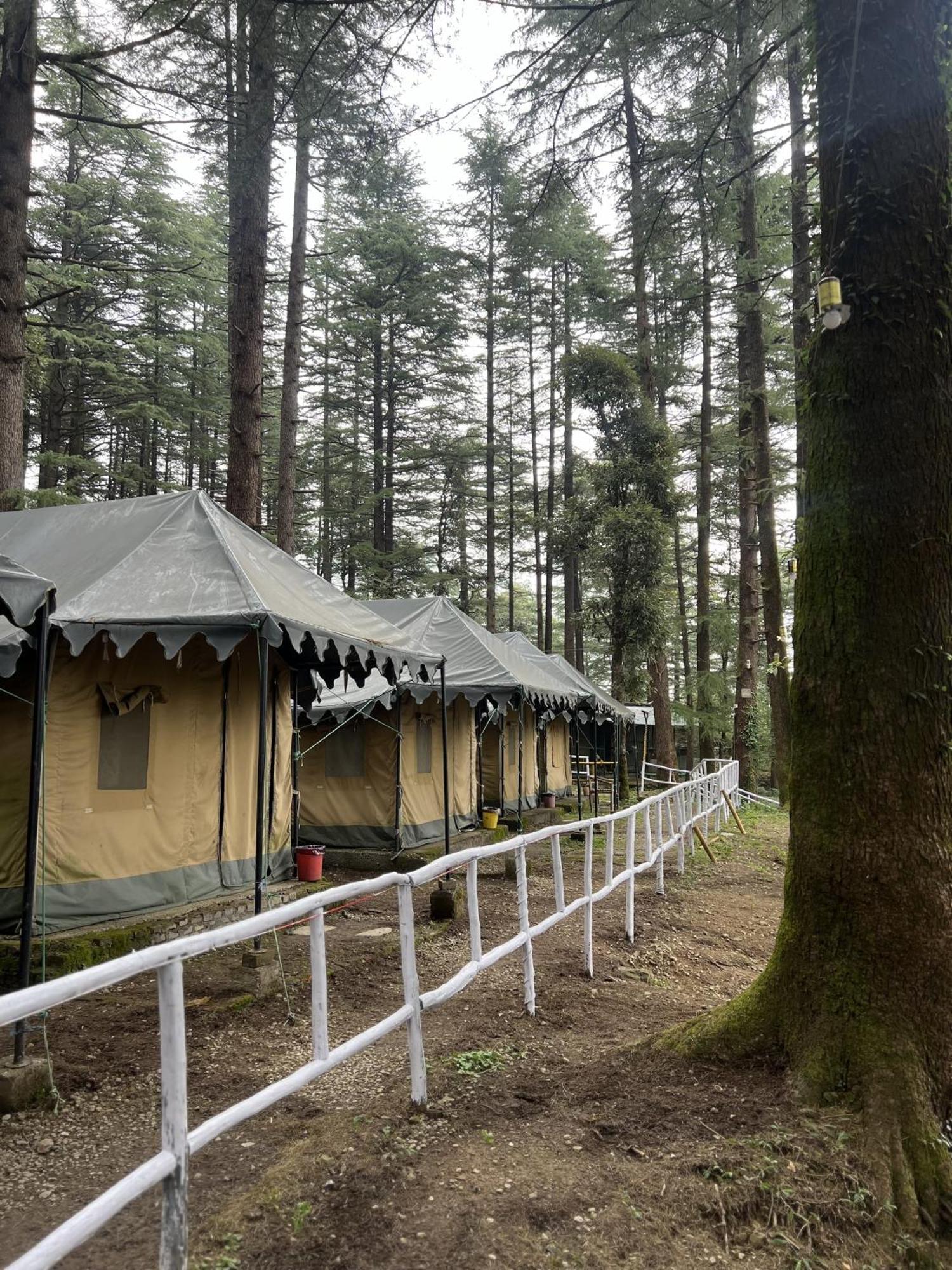 Himtrek Stays,Mcleodganj マクロード・ガンジ エクステリア 写真