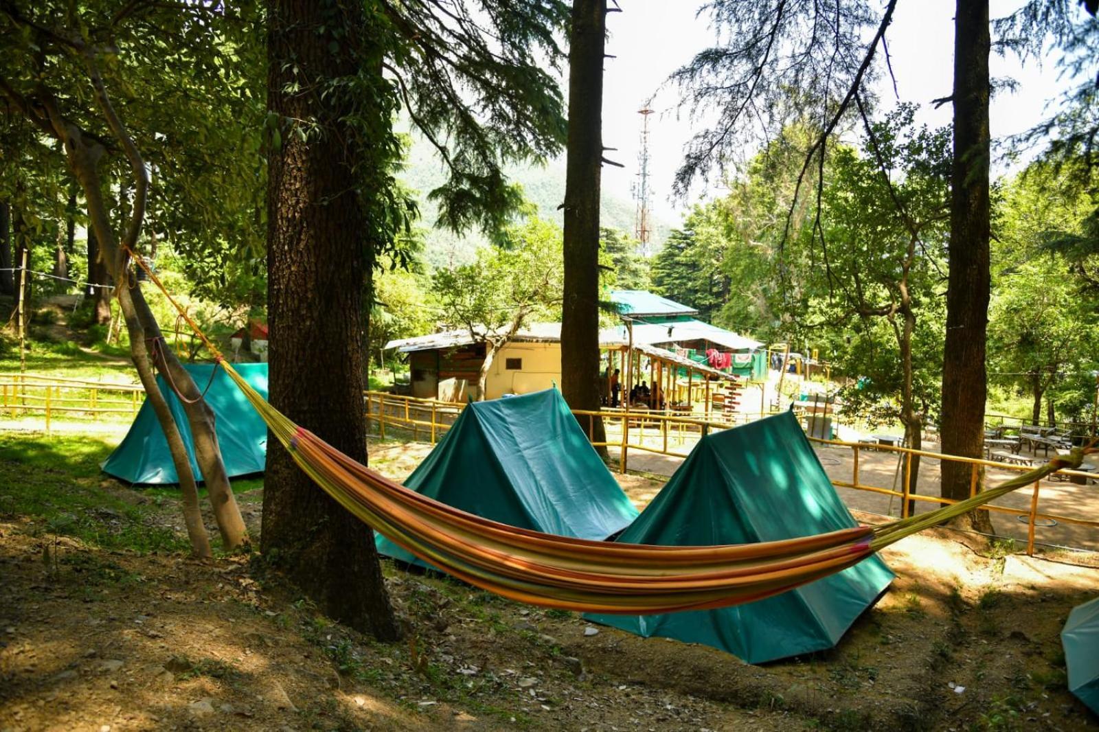 Himtrek Stays,Mcleodganj マクロード・ガンジ エクステリア 写真